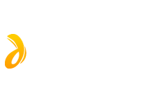 Define Web